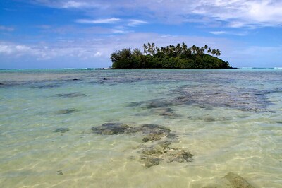 Cook Islands Creates Huge Pacific Ocean Reserve