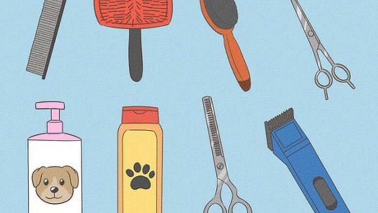 How to Puppy Cut a Shih Tzu