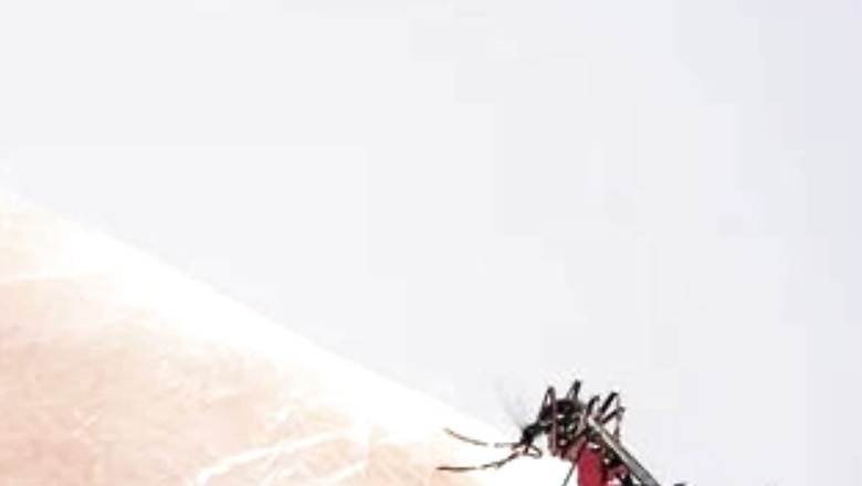 UP Feels Dengue Sting with over 9,000 Cases Reported, Deadly DEN-2 Strain Predominant
