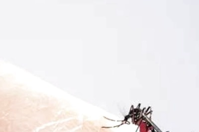 UP Feels Dengue Sting with over 9,000 Cases Reported, Deadly DEN-2 Strain Predominant