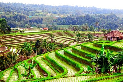 Bali Bags Best Global Destination For 2017 in Travelers' Choice Awards