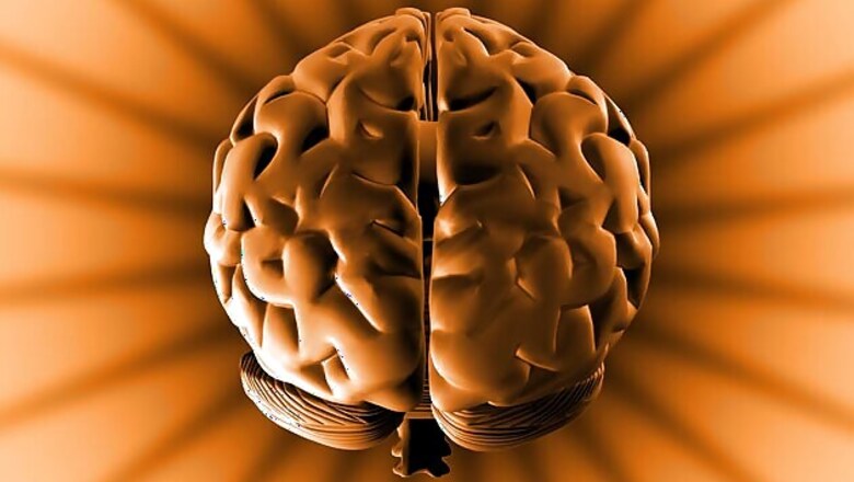 Protein that made humans most intelligent found