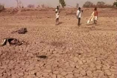Special group constituted to monitor drought situation