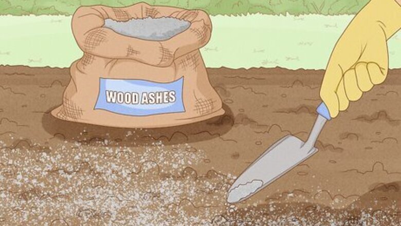 How to Use Ashes As Fertilizer