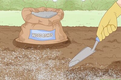 How to Use Ashes As Fertilizer