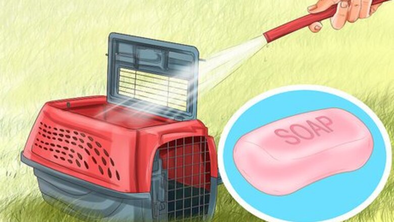 How to Transport a Cat in a Carrier