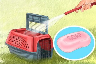 How to Transport a Cat in a Carrier