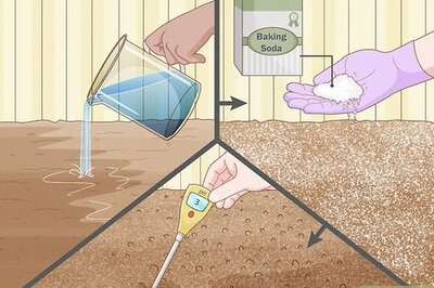 How to Use Baking Soda in the Garden