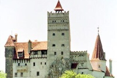 Dracula bats for his descendants