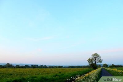 How to Do the Philosophy of Happiness of Diogenes and Epicurus