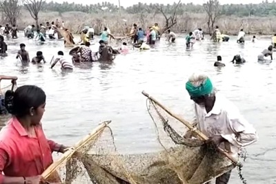 Villages In Tamil Nadu's Pudukkottai District Celebrate Unity Through Annual Fishing Festival