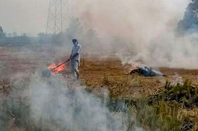 To Burn or To Starve: The Dilemma for Punjab's Farmers as Delhi's Air Pollution Worsens