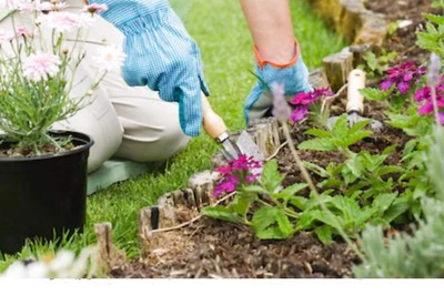 Tips On How To Maintain And Keep Your Garden Intact This Fall Season