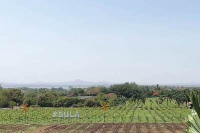 Why Whine When You Can Wine? A Transformative Experience at Sula Vineyards