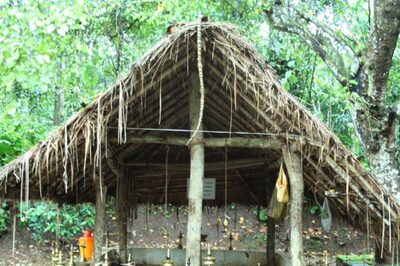 Tribals, Trials And Tribulations: Wayanad's Adivasis Have Their Own Versions of Ramayana