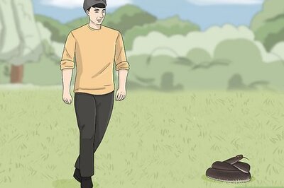 How to Survive an Encounter With a Snake