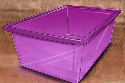 How to Bathe a Hedgehog