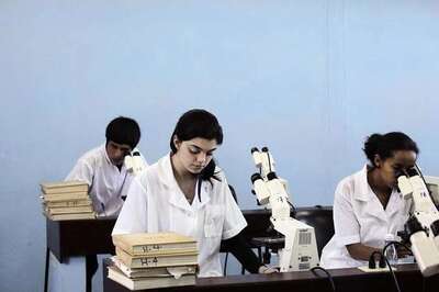 Indian Students Worry About Physical Safety in US: Survey