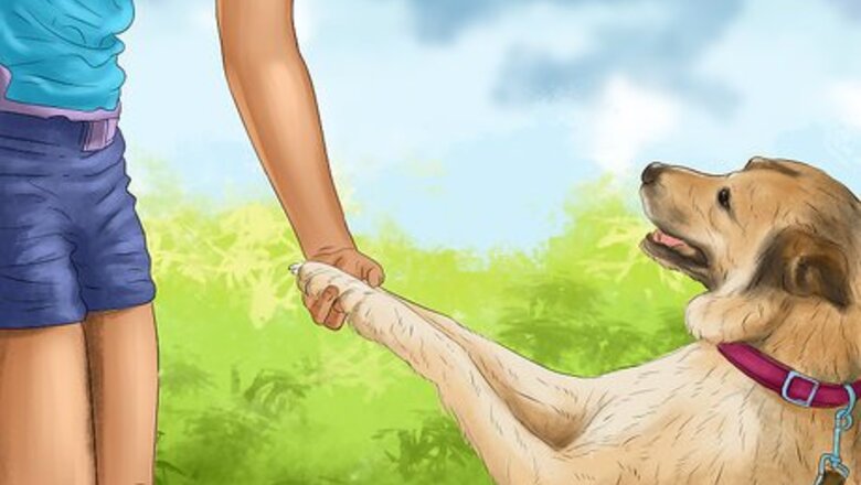 How to Keep Your Dog Safe on a Boat Ride