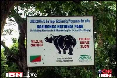 50 per cent water logging in lower areas of Kaziranga National park