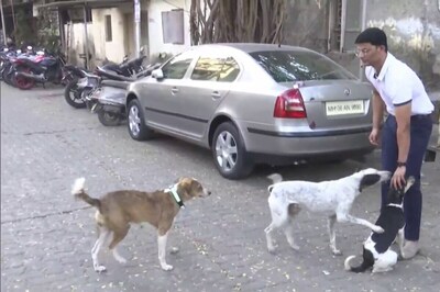 Mumbai Techie Comes Up With Unique Solution To Track Stray Dogs