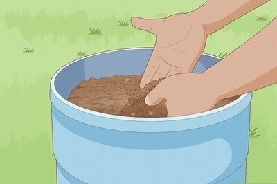 How to Compost Dog Poop