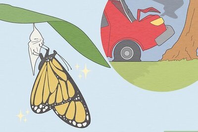 How to Make Sense of Dreams about Car Crashes