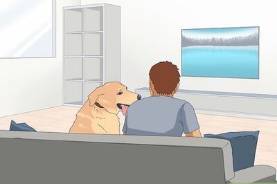 Why Do Dogs Follow You to the Bathroom?