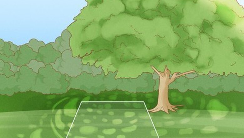 How to Plant English Ivy