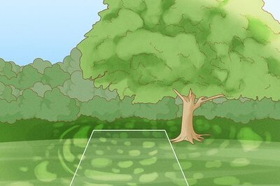 How to Plant English Ivy