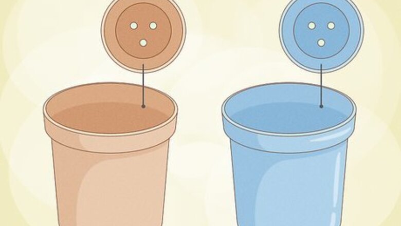 How to Grow Fern Indoors