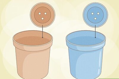 How to Grow Fern Indoors