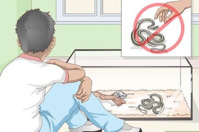How to Tame Snakes
