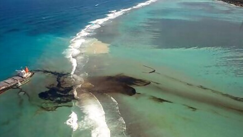 Thousands Protest In Mauritius Over Dead Dolphins, Demand Resignations