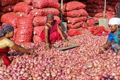 Onion at Subsidised Rate of Rs 25 per Kg from Today: What Centre is Doing to Fight Food Inflation | Details