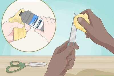 How to Trim an Aloe Vera Plant