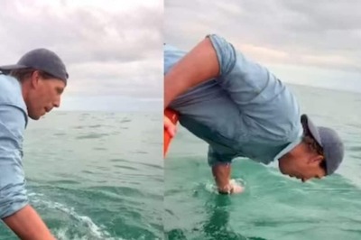 Video Of Man Petting And Kissing Whale Elicits Mixed Reaction On Internet