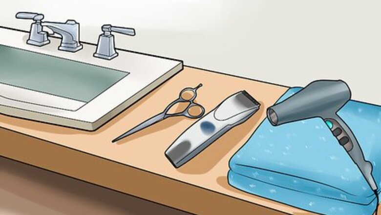 How to Do a Palm Springs on a Poodle