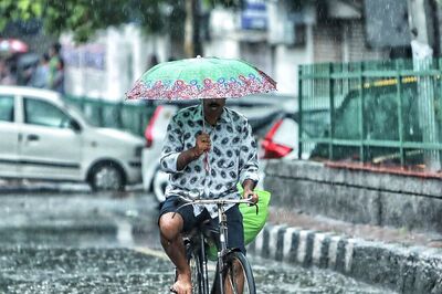 Moderate Rain in Mumbai, Heavy Rain in Thane, Raigad Likely on Monday: IMD