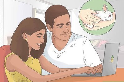 How to Convince Your Parents to Let You Buy a Bunny