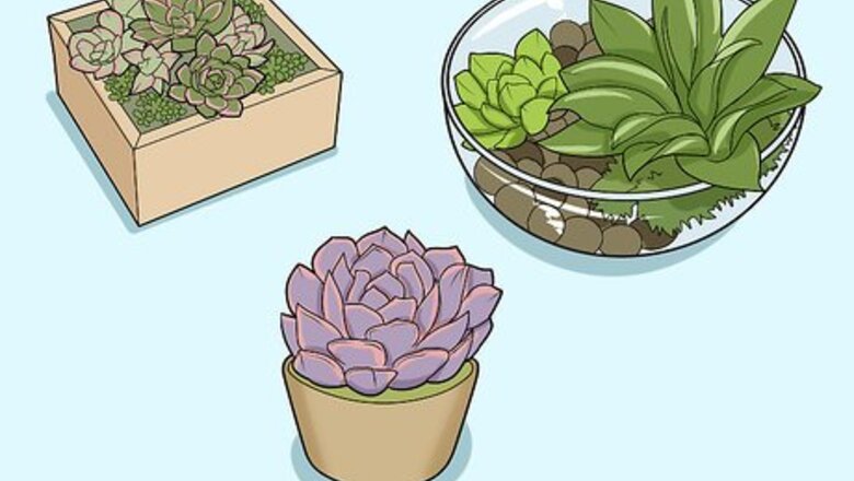 How to Make a Succulent Centerpiece