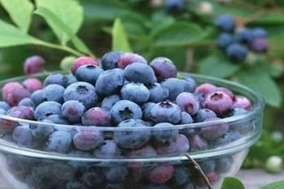 5 Foods To Consume When You Are Stressed Out