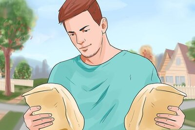 How to Change Dog Food