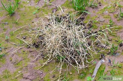 How to Use a Flint Stick