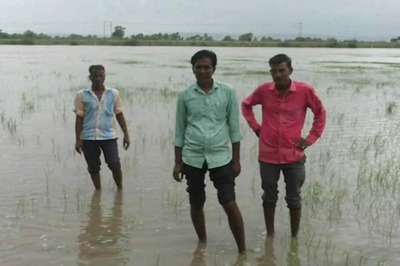 Maha Govt Approves Rs 774 Crore for Rain-hit Farmers in Nine Districts