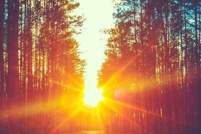 Aaj Ka Panchang, 1 April, 2024: Tithi, Vrat, and Today’s Shubh, Ashubh Muhurat