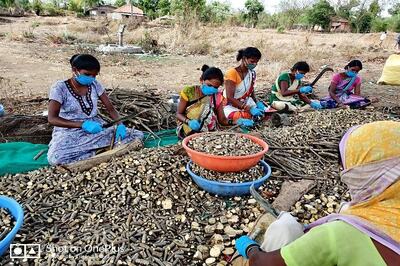 Maharashtra Tribals Can Now Appeal Against Decision on Forest Rights