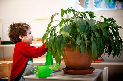 A 'Homecation' This Summer? Turn Your Backyard into a Holiday Destination