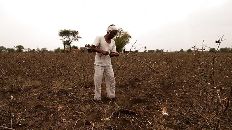 Kids Left to Fend for Themselves as Marathwada Farmers Commit Suicide