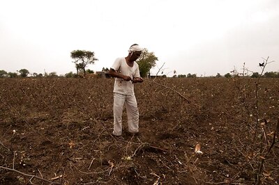 Kids Left to Fend for Themselves as Marathwada Farmers Commit Suicide